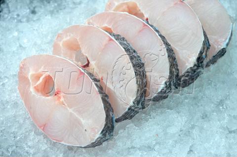 Phi Lê Cá Lóc Bông Cắt Khoanh (Theo Yêu Cầu) - Công Ty CP TOH Fish