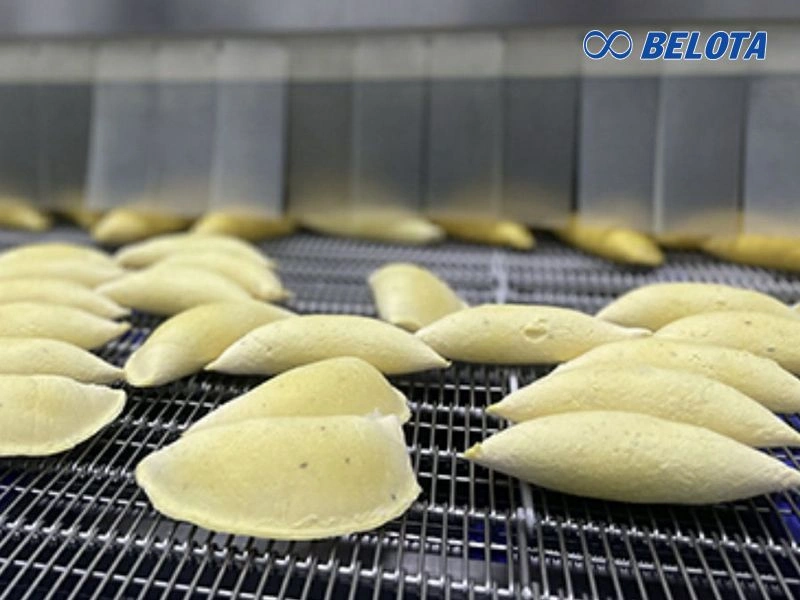 Băng tải lưới Eyelink