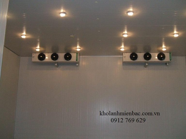 Lắp đặt kho lạnh bảo quản vắc xin