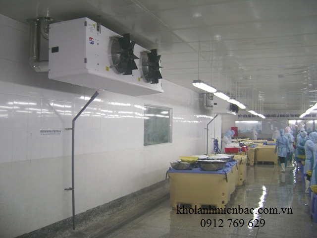 Lắp đặt kho lạnh bảo quản thực phẩm