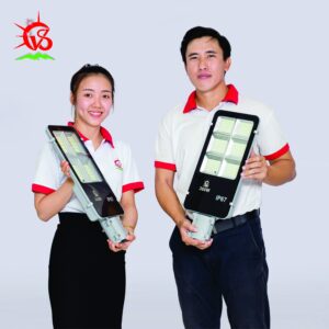 Đèn đường  300W NLMT VSS D300