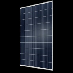 Tấm pin NLMT Hanwha Qcells Q.Plus