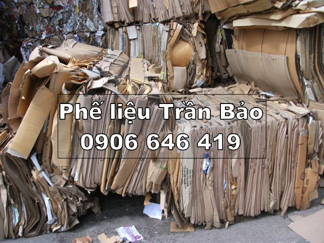 Phế liệu giấy Hồ Chí Minh
