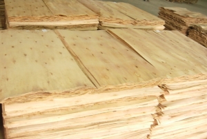 Gỗ Tràm Quang Nhật Minh - Công Ty TNHH Một Thành Viên Quang Nhật Minh — hình ảnh từ trangvangvietnam.com