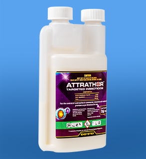Attrathor diệt gián