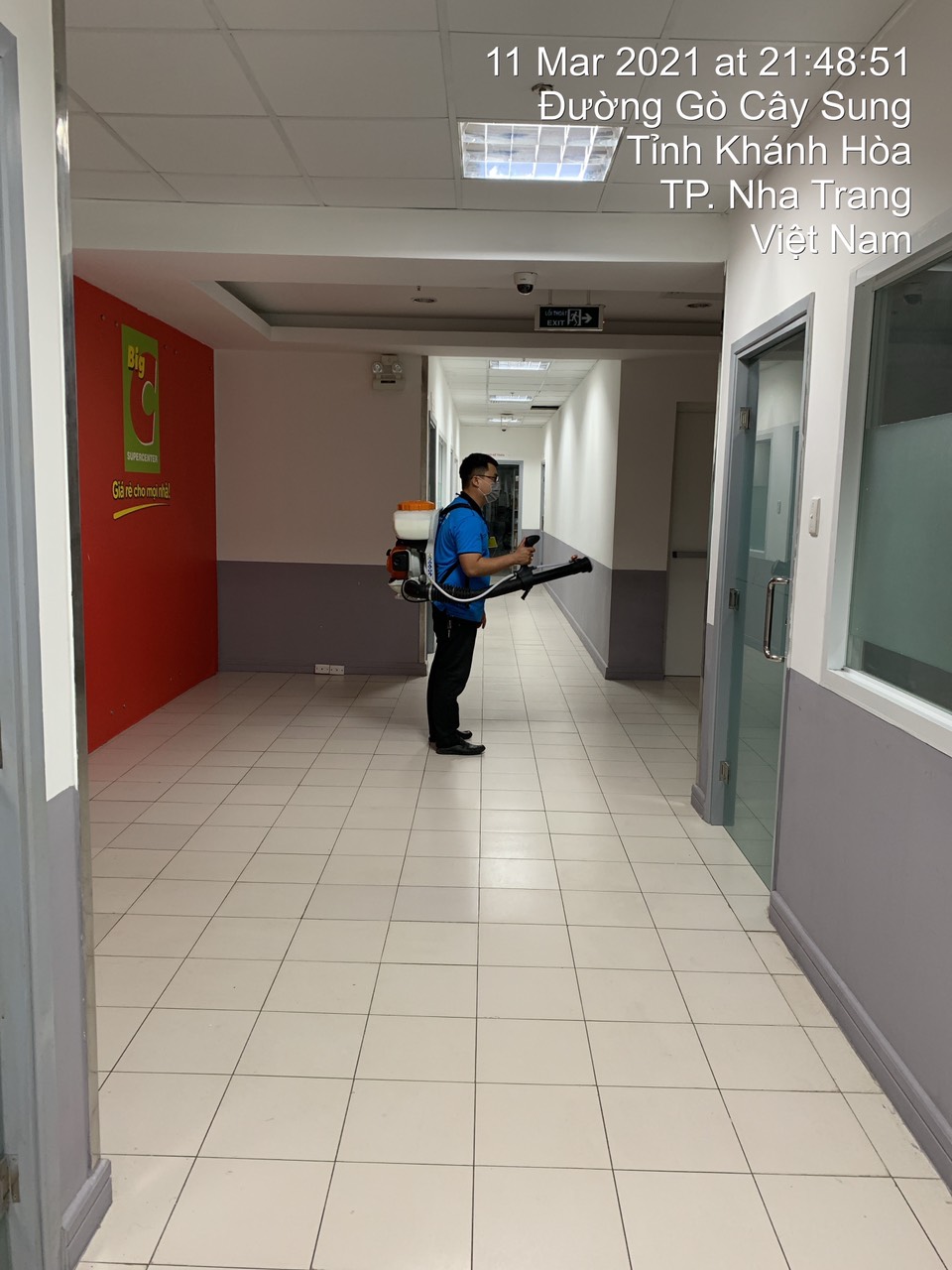 Dịch vụ diệt mối công trình