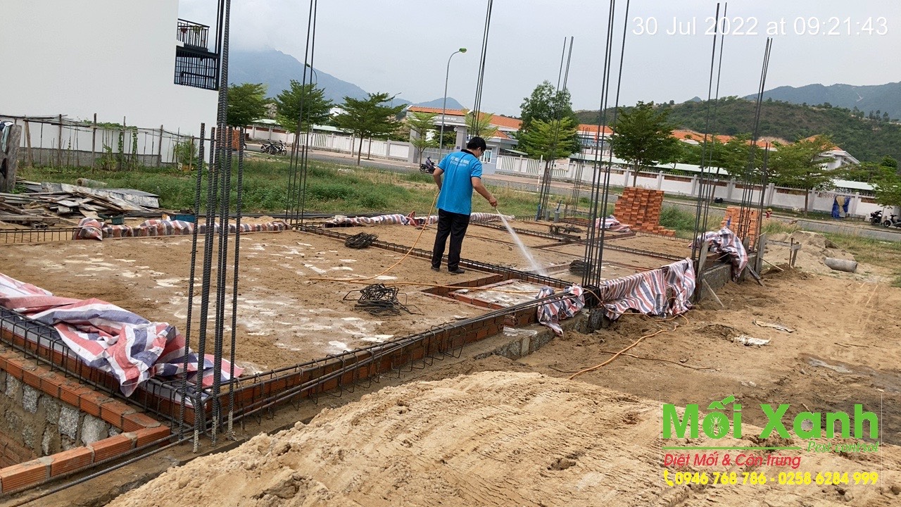 Dịch vụ phòng chống mối