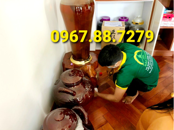 Diệt gián, phun muỗi tại Phú Yên - Vệ Sinh Công Nghiệp Bảo Khang Phú Yên - Công Ty TNHH TMDV Bảo Khang Phú Yên