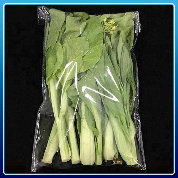 Bao Bì Nam Việt – Công Ty TNHH Sản Xuất Thương Mại Dịch Vụ Bao Bì Nam Việt