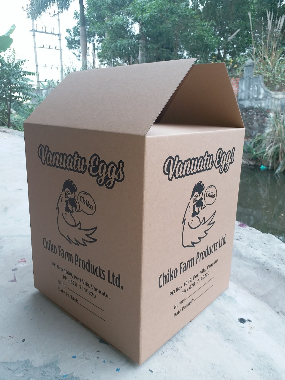 Bao bì carton - Bao Bì PGS Việt Nhật - Công Ty TNHH Bao Bì Và In PGS Việt Nhật