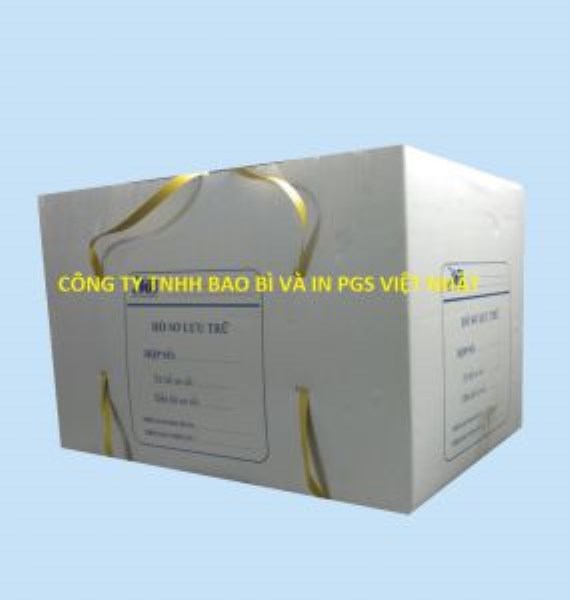 Hộp giấy - Bao Bì PGS Việt Nhật - Công Ty TNHH Bao Bì Và In PGS Việt Nhật