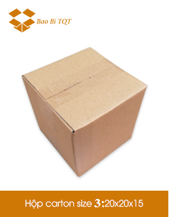Hộp Carton size 3 - Công Ty TNHH Bao Bì TQT