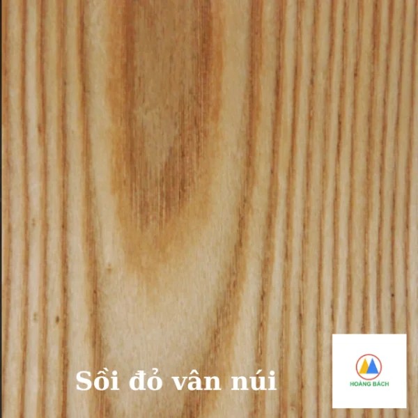 Veneer kỹ thuật
