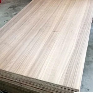 Veneer óc chó sọc