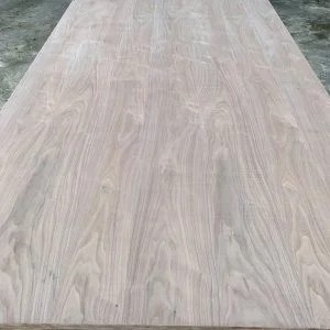 Veneer óc chó tự nhiên