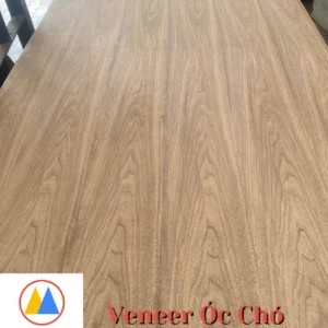 Veneer óc chó