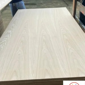 Veneer sồi trắng