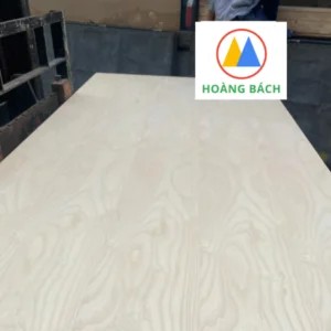 Veneer tần bì