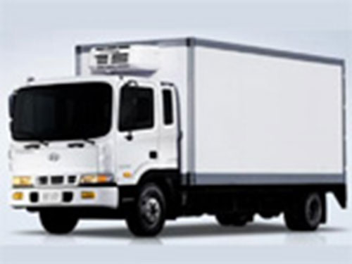 Xe tải Hyundai thùng kín - Công Ty TNHH Dịch Vụ Thương Mại Trường Giang