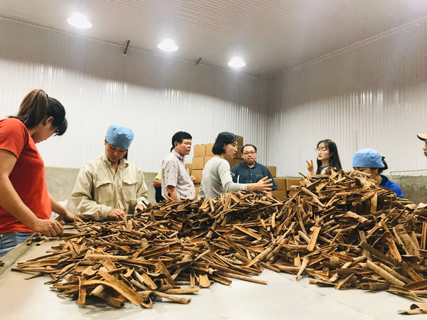 Hình ảnh sản xuất