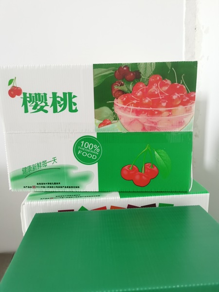 Thùng nhựa trái cây - Chi Nhánh Hồ Chí Minh - Công Ty TNHH Sản Xuất Thương Mại Xuất Nhập Khẩu Đạt Thuận