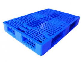 Pallet nhựa