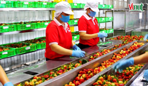 Hình ảnh nhà xưởng Công ty Nam Việt
