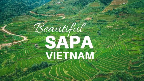 Sa Pa - Công Ty TNHH TM Và DV Linh Việt Travel