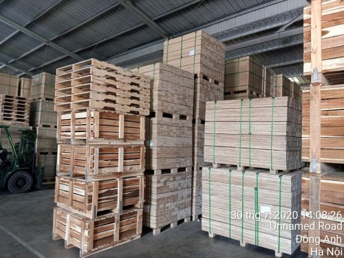 Kiện gỗ, thùng gỗ - Wooden Pallet Việt Nam - Công Ty Cổ Phần Đầu Tư và Thương Mại Wooden Pallet Việt Nam