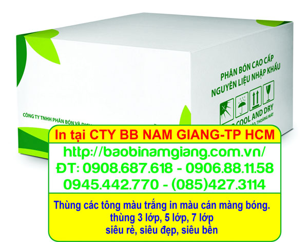 In thùng carton trắng