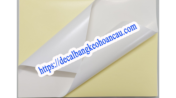 Decal A4 đế vàng keo Hotmelt