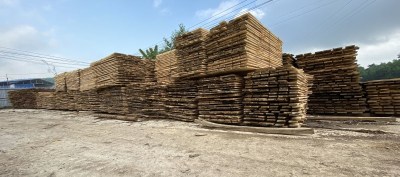 Gỗ các loại