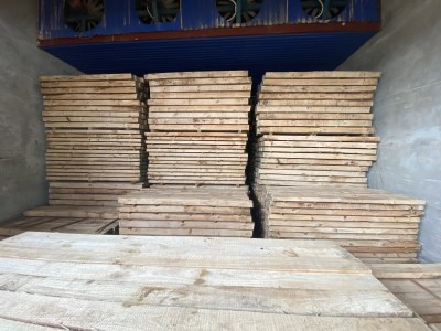 Gỗ các loại