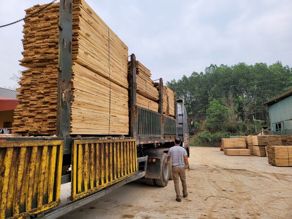 Gỗ keo xẻ