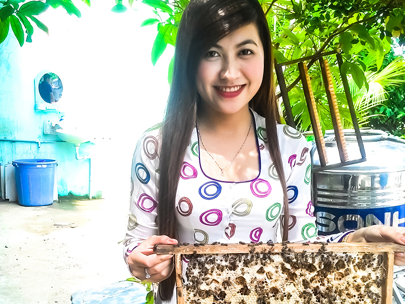 Thăm trại nuôi ong - Công Ty TNHH Du Lịch Dịch Vụ Thương Mại Cồn Phụng