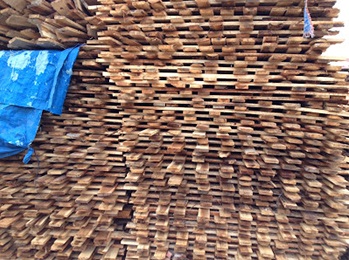 Nan gỗ - Pallet Trường Phát - Công Ty TNHH Dịch Vụ Thương Mại Và Sản Xuất Kinh Doanh Tổng Hợp Trường Phát