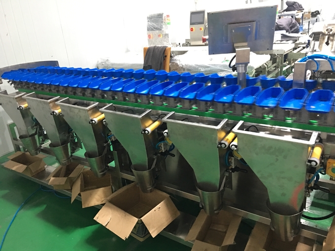 Máy phân loại thực phẩm - Công Ty Cổ Phần Quốc Tế Intmech