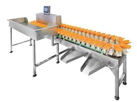 Máy phân loại trọng lượng dạng băng tải - Công Ty Cổ Phần Quốc Tế Intmech