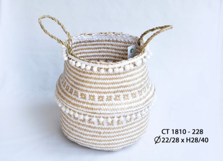 Bị cói