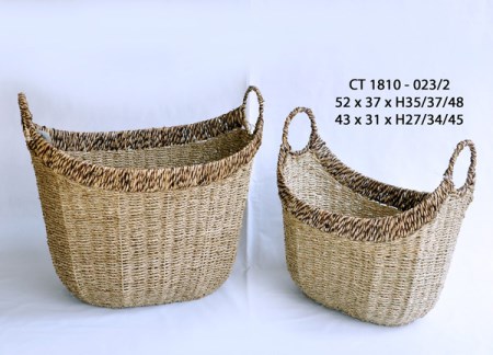 Sọt cói