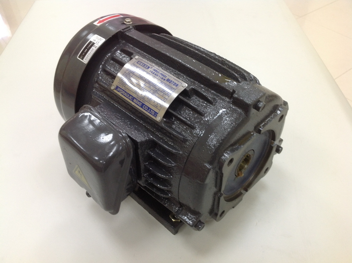 Motor thủy lực 3 pha