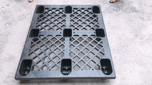 Pallet nhựa