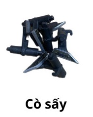 Cò sấy