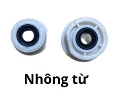 Nhông từ