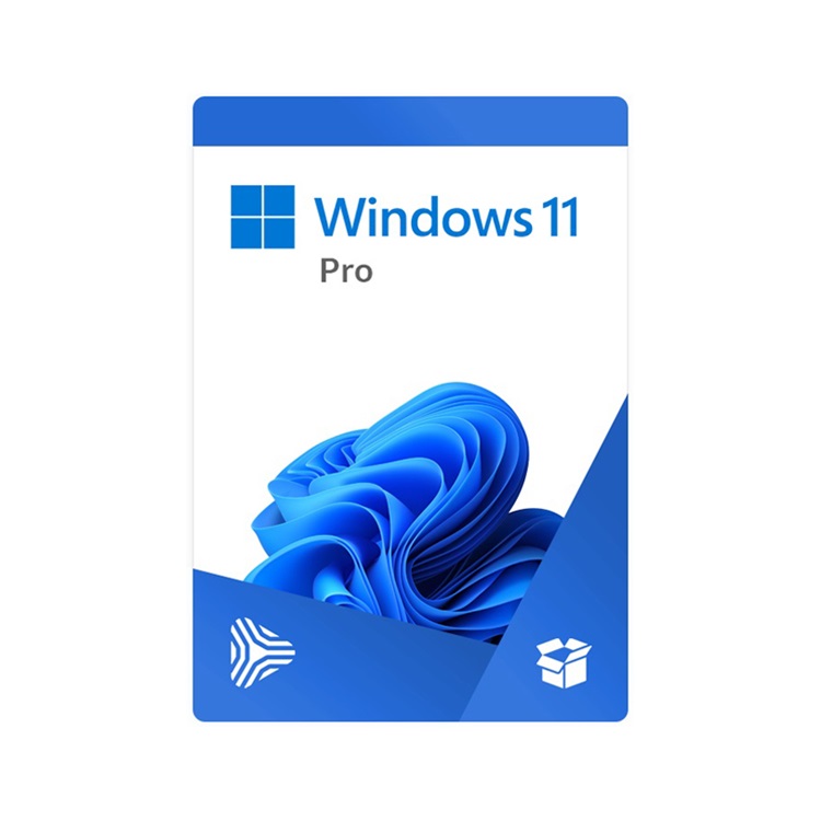 Hệ điều hành Windows 11 Pro 64bit