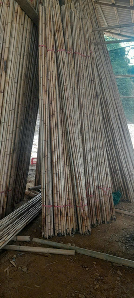 Phên tre