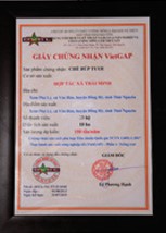 Chứng nhận Vietgap