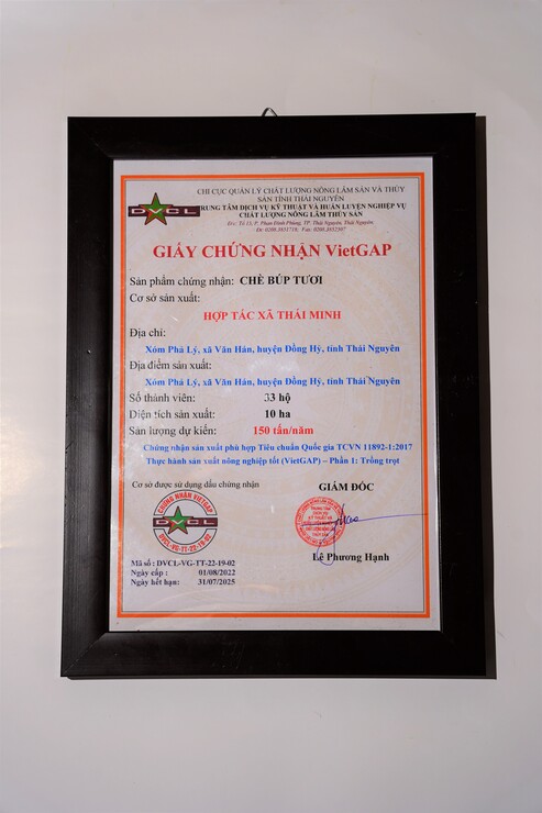 Chứng nhận VietGAP