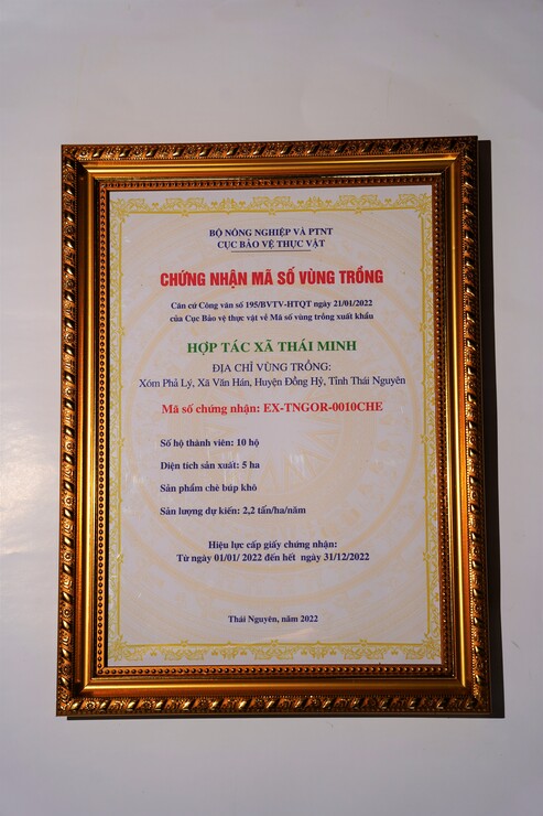 Chứng nhận mã số vùng trồng