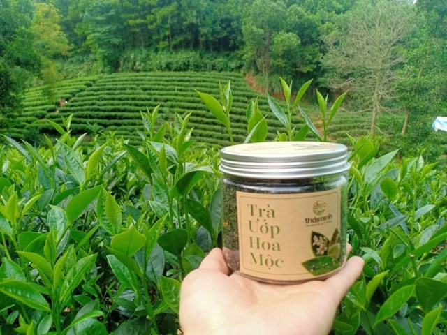 Trà ướp hoa mộc